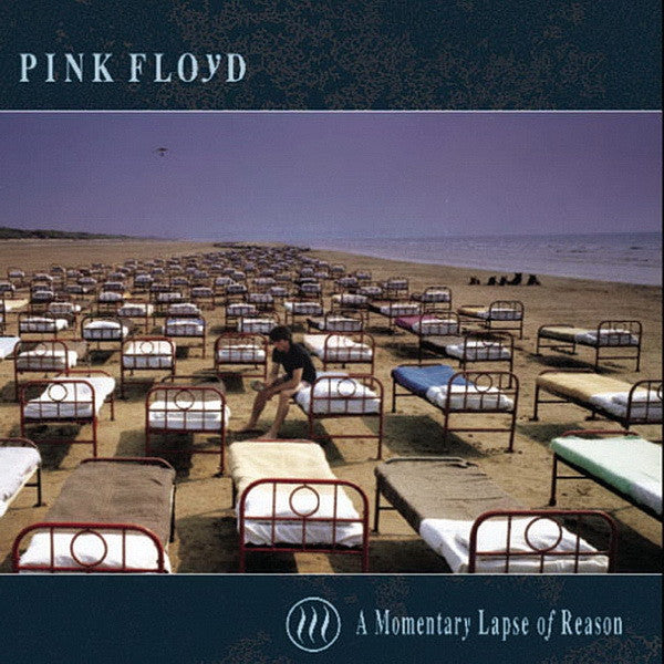 a-momentary-lapse-of-reason