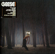 geese-(11)-–-projector