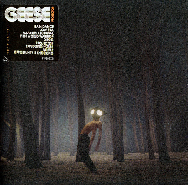 geese-(11)-–-projector