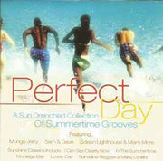 perfect-day