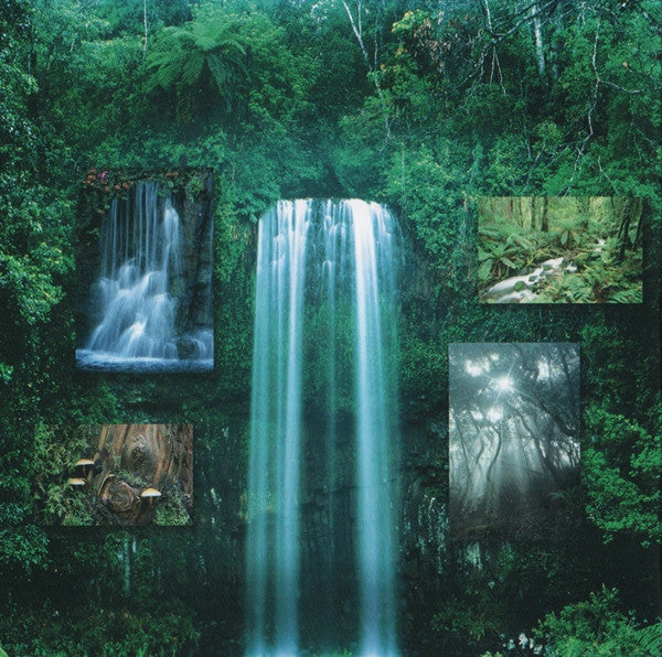 the-enchanted-rainforest