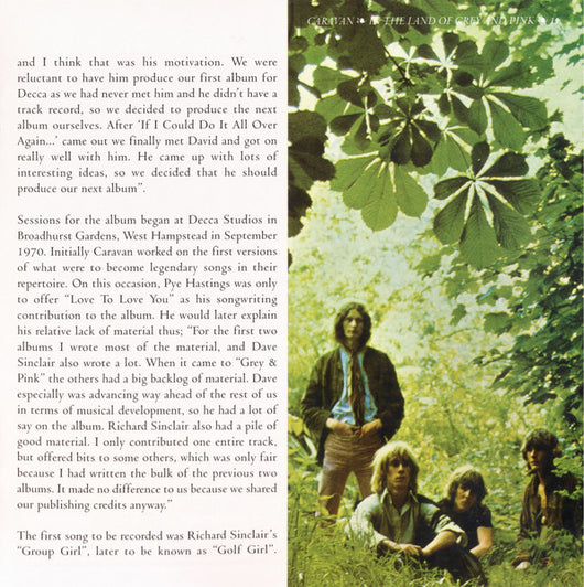 in-the-land-of-grey-and-pink