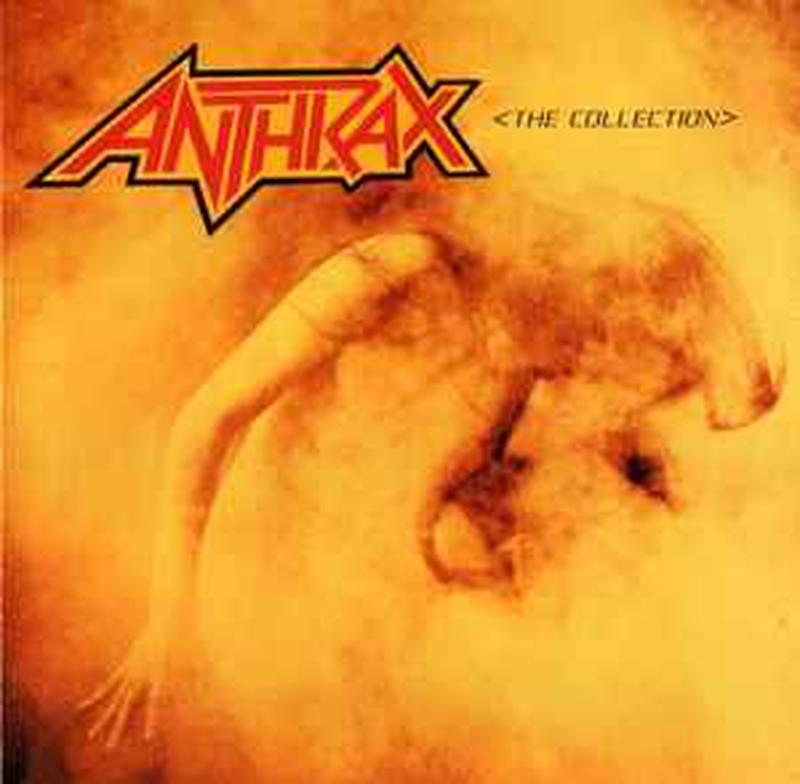the-collection