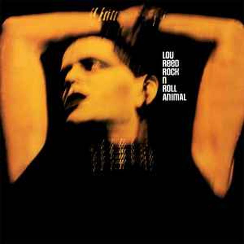 rock-n-roll-animal