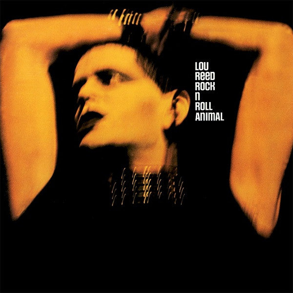 rock-n-roll-animal