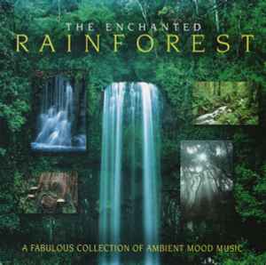 the-enchanted-rainforest