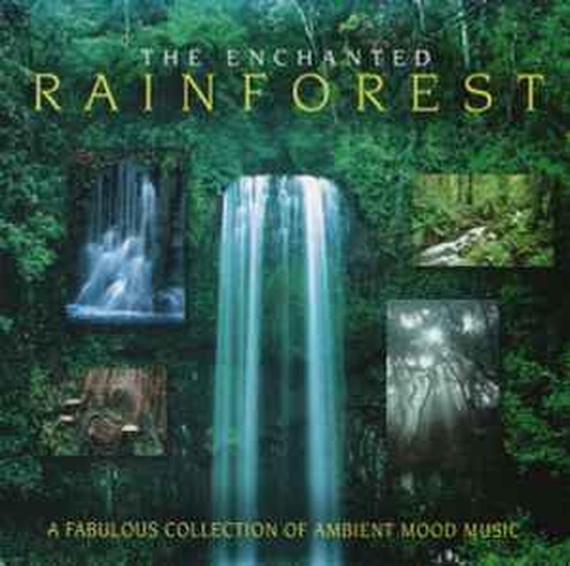 the-enchanted-rainforest