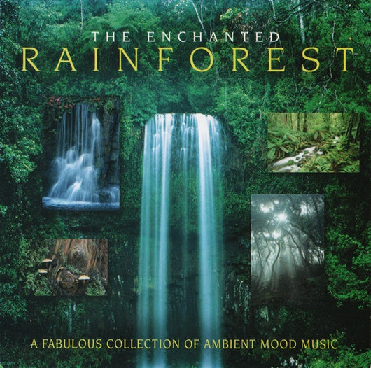 the-enchanted-rainforest
