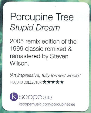 stupid-dream