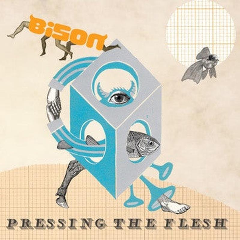 bison-(11)-–-pressing-the-flesh