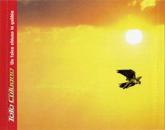 un-falco-chiuso-in-gabbia