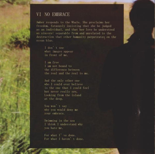 mount-wittenberg-orca