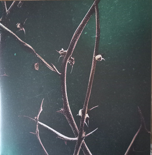 vaidas-baumila-–-vienodai-žydi-sodai