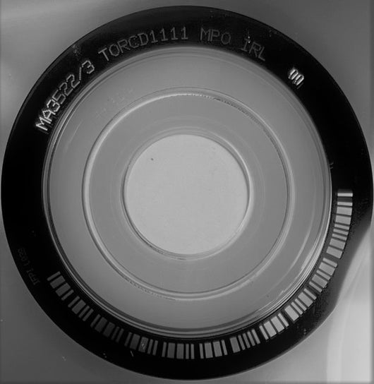 speaking-with-the-angel