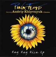 hey-hey-rise-up