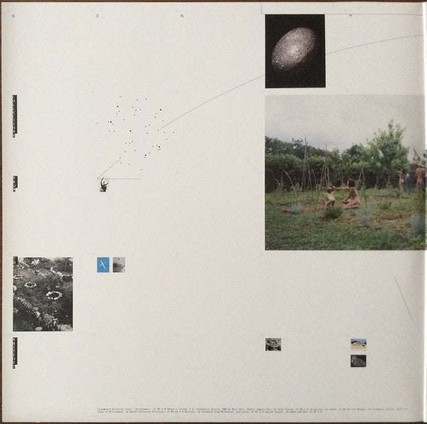 collections-from-the-whiteout