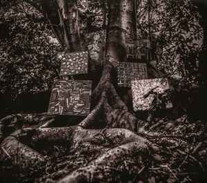 harmony-of-difference