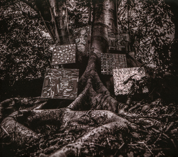 harmony-of-difference
