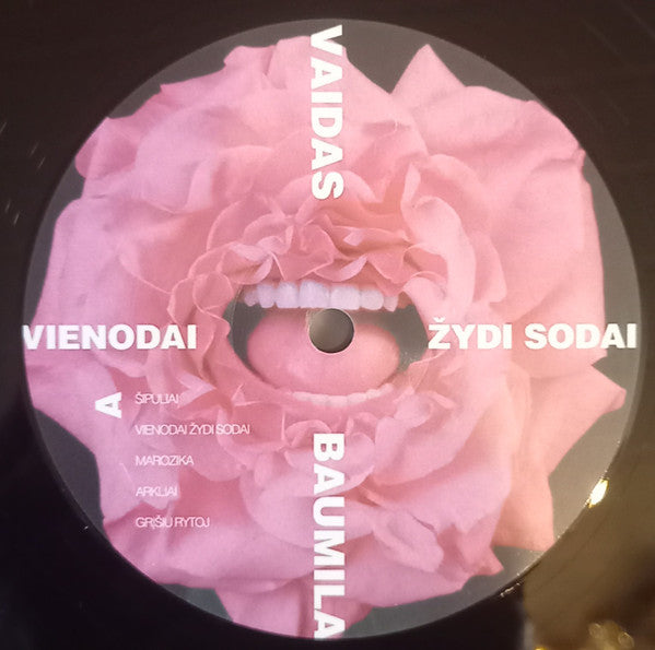 vaidas-baumila-–-vienodai-žydi-sodai
