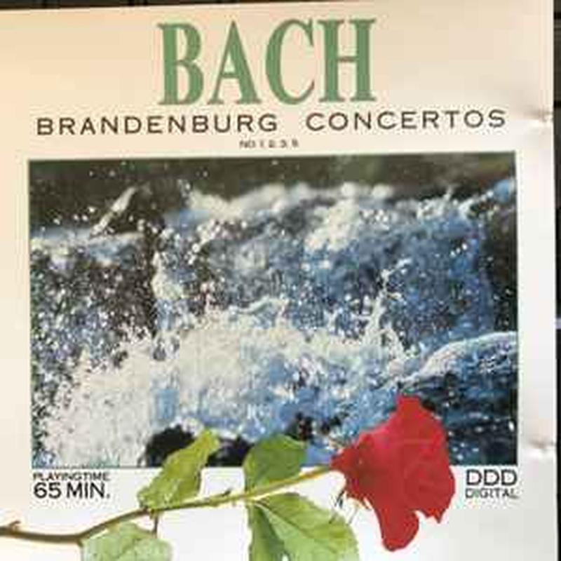 brandenburg-concertos