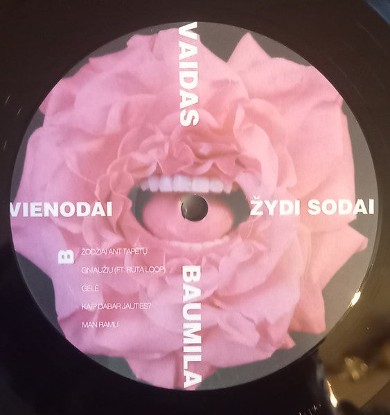 vaidas-baumila-–-vienodai-žydi-sodai