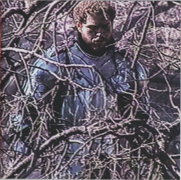hollywoods-bleeding