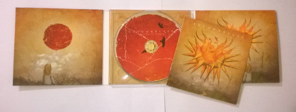 every-sun-is-fragile