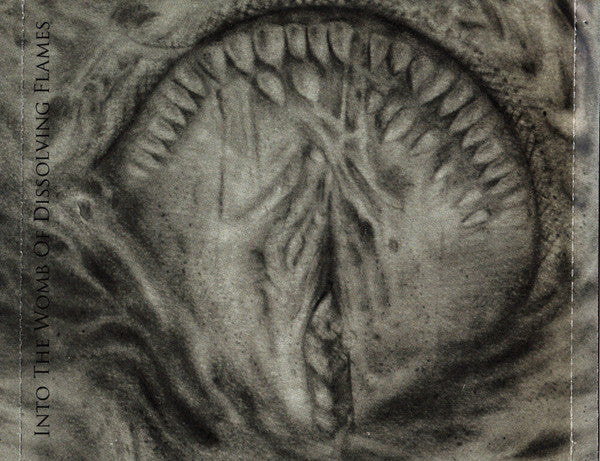 into-the-womb-of-dissolving-flames