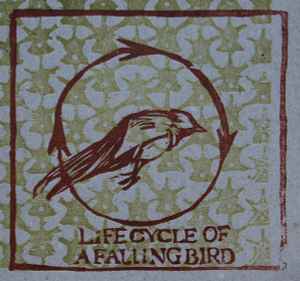 life-cycle-of-a-falling-bird