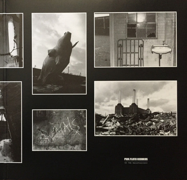 animals