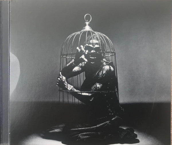 birds-in-the-trap-sing-mcknight