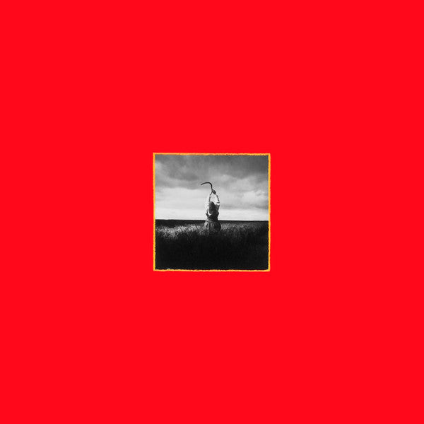 a-broken-frame