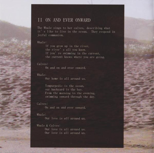 mount-wittenberg-orca