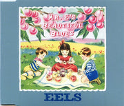 eels-–-mr.-es-beautiful-blues