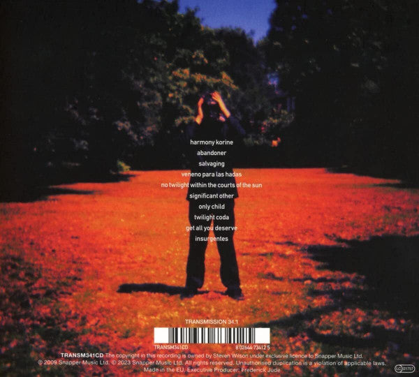 steven-wilson-–-insurgentes