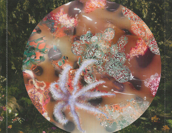 portals