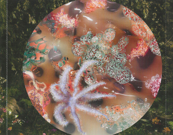 portals