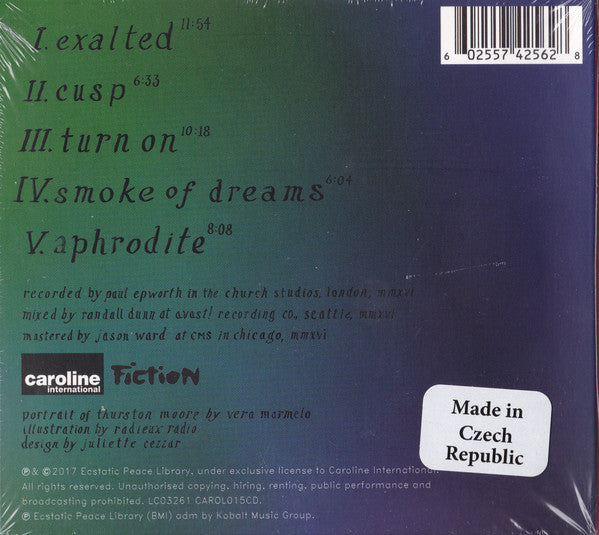 thurston-moore-–-rock-n-roll-consciousness