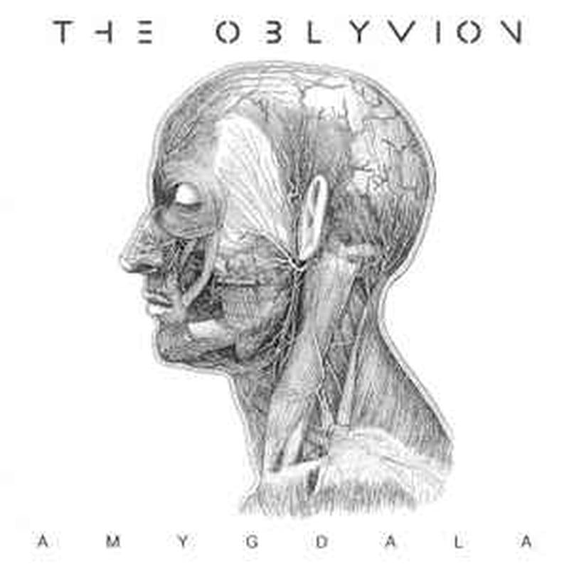 amygdala
