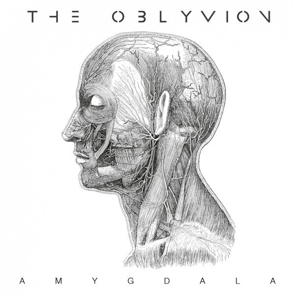 amygdala