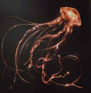 back-to-the-water-below