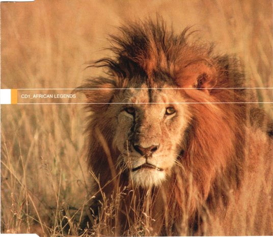 beginners-guide-to-africa
