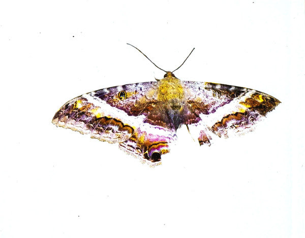 kendrick-lamar-–-to-pimp-a-butterfly