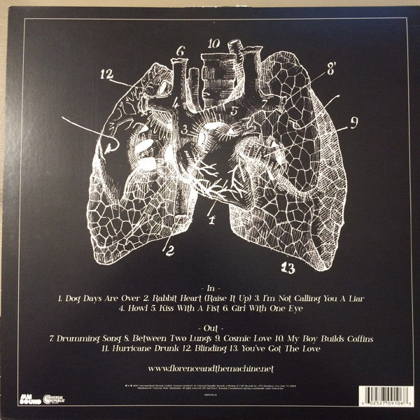 lungs