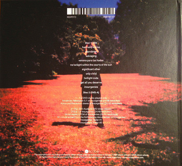 steven-wilson-–-insurgentes