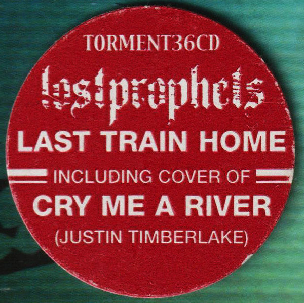 last-train-home