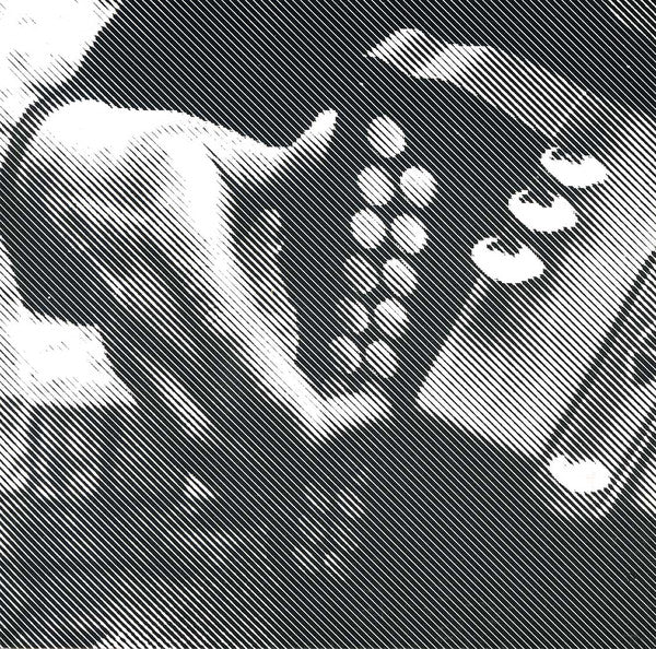rhythms-of-the-wold