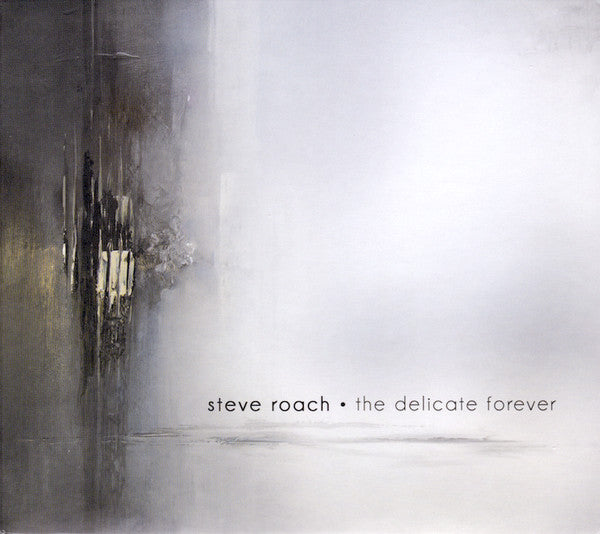 steve-roach-–-the-delicate-forever