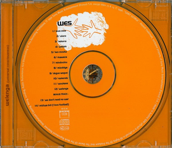 welenga-(universal-consciousness)