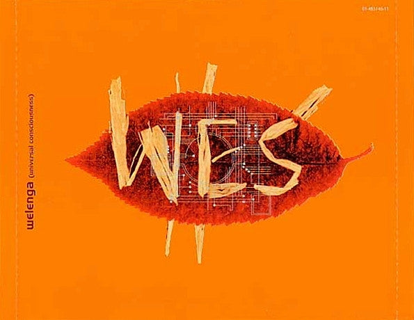welenga-(universal-consciousness)